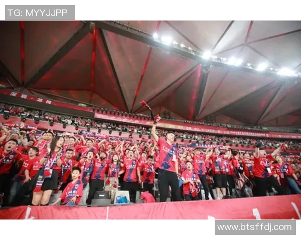 团结拼搏共筑梦想足球中国奋勇向前的口号与精神